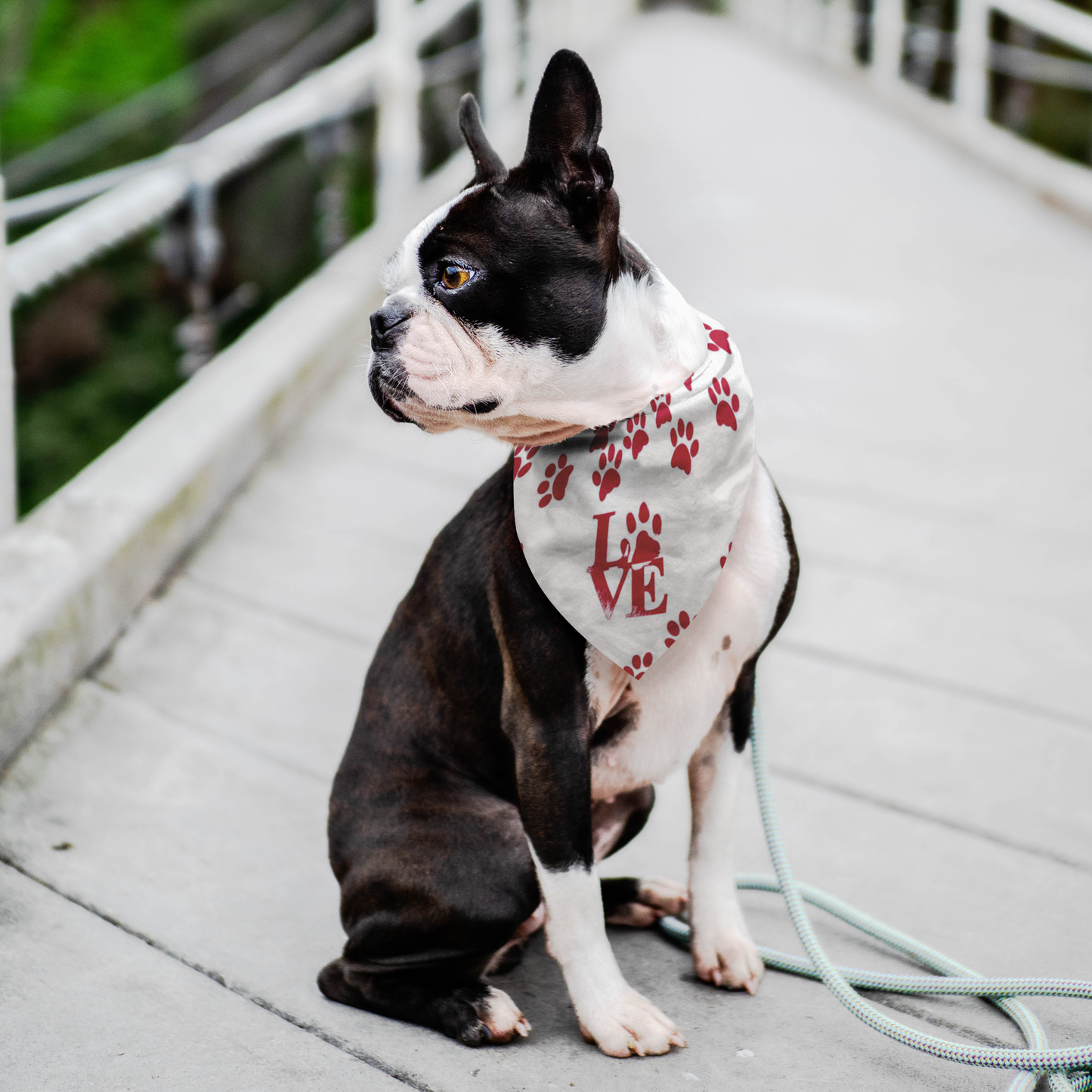 Dog Lover Gifts | Dog Bandana Valentines Day Gifts-Pet Bandana-TD Gift Solutions.com